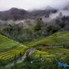 Отель Jiabang Yunshang Terrace View Hotel, фото 18