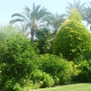 Отель Casa Esquina Verde : the best location in the naturist zone of Vera Playa!, фото 15