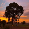 Отель Melbourne Garden Bed and Breakfast, фото 10