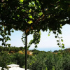 Отель Traditional House Spectacular View near Heraklion, фото 14