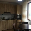 Отель Bakuriani best price residence, фото 3