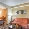 Отель Comfort Suites Lebanon, фото 10