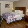 Отель Quality Inn & Suites, фото 5