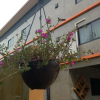 Отель A-Mote Loft at Phitsanulok, фото 11