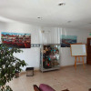 Отель APM Punta Mogotes, фото 8