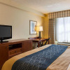 Отель Comfort Inn & Suites Virginia Beach - Norfolk Airport, фото 7