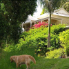 Отель Cooroy Country Cottages, фото 16
