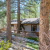 Отель Nottingham's Nook - Tucked Away On A Quiet And Serene Lot Amongst The Trees! 2 Bedroom Home, фото 15