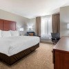 Отель Comfort Inn & Suites, фото 4