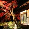 Отель Akigawa Valley Inn Kinkoukaku, фото 35