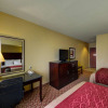 Отель Comfort Inn & Suites Donna near I-2, фото 6