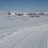 Отель Hakkesetstolen Fjellstugu, фото 14