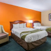 Отель Quality Inn Northeast, фото 3