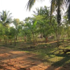 Отель Yala Eco Tree House, фото 9