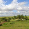 Отель Africa Safari Camping Mto wa Mbu, фото 27