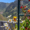 Отель Casas Tipicas Candelaria Tabua, фото 30