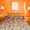 Отель Bloomfield Motel, фото 18