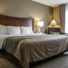 Отель Quality Inn & Suites, фото 17