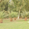 Отель Brigadier's Plantation Retreat, фото 19