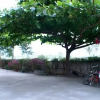 Отель Taitung Geng Yuan B&B, фото 12