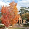 Отель Eco Villa Mt Beauty Near Falls Creek & Bright, фото 27