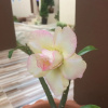 Отель Green Season House, фото 8