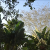 Отель Mariepskop View, фото 12