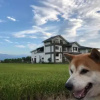 Отель CarNo B&B, фото 27
