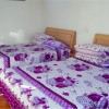 Отель Shapotou Damo Qingyuan Farmstay, фото 5