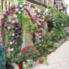 Гостиница Guest House Diamant, фото 8