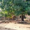 Отель Campement Le Dogon Du Fouta в Кедугу