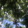 Отель Kilifi Maghreb, фото 25