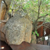 Отель Wild & Free Private Game Lodge, фото 19