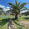 Отель Relax in This Sithonia Property With Ocean Views, фото 46