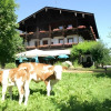 Отель Alpenhof Landhotel Restaurant, фото 9