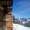 Отель Ski & Bike Hotel Wiesenegg, фото 10