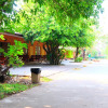 Отель Big Tree Resort, фото 21