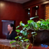 Отель Double-Dove Peace International Hotel, фото 20