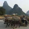 Отель Yangshuo Ecofarm Lodge, фото 2