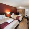 Отель Red Roof Inn PLUS+ St Louis - Forest Park/ Hampton Ave, фото 20