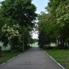 Отель Zelenyi Kampus, фото 14