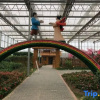 Отель Wugongshan Yijia Homestay, фото 6