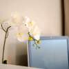 Отель Glenfield Central Modern 1 Bdr Unit, фото 16
