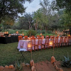 Отель Chisomo Safari Lodge, фото 9