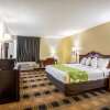 Отель Econo Lodge Inn & Suites, фото 24