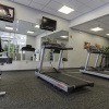 Отель Holiday Inn Knoxville West-Cedar Bluff Road, фото 16