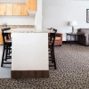 Отель Gray Wolf Inn & Suites, фото 9