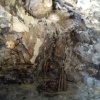 Отель Grotta Paradiso, фото 14