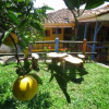 Отель Las Cometas Hostel, фото 24