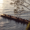 Отель Lesante Cape Resort & Villas, a member of The Leading Hotels of the World, фото 37
